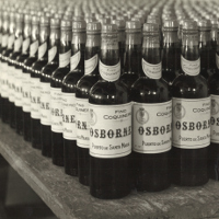Sherry Wines Foto donde aparecen miles de botellas antiguas apiladas unas detrás de otras de la marca Coquinero (amontillado)